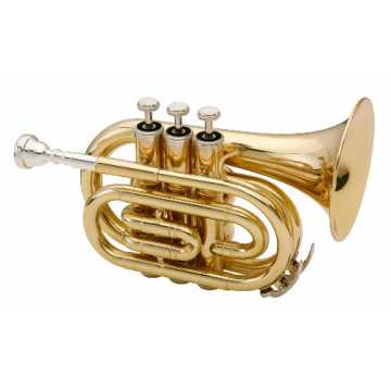 ntabile Brass TT-500 Bb-Taschentrompete Messing nachhaltig