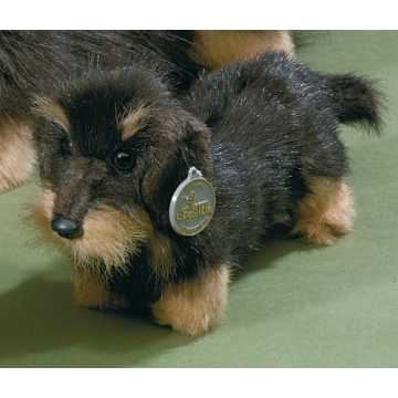 Greenheimel von Förster! Obwohl ich gerade erst das Licht der Welt er.. offtiere 5507 Rauhaardackel 26cm nachhaltig